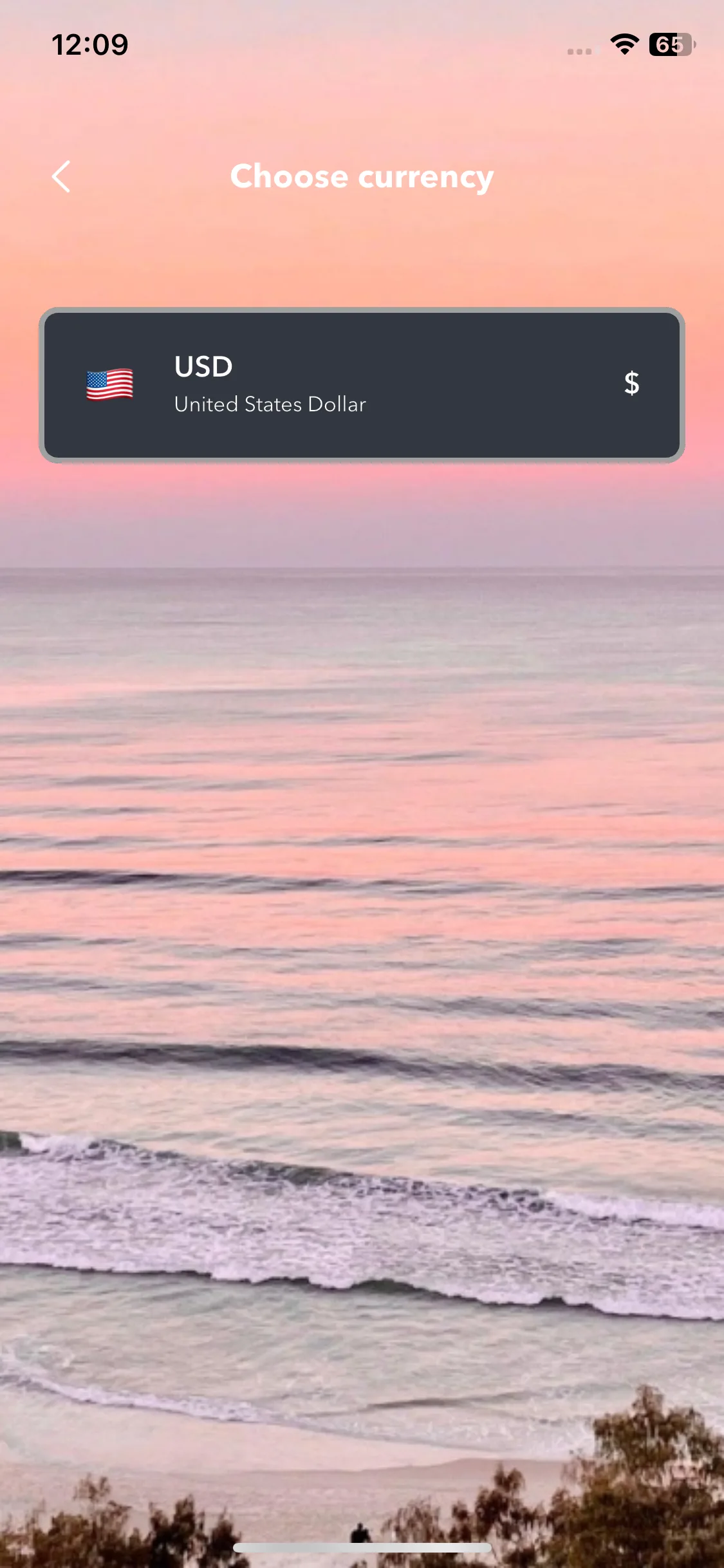 Test Image 17