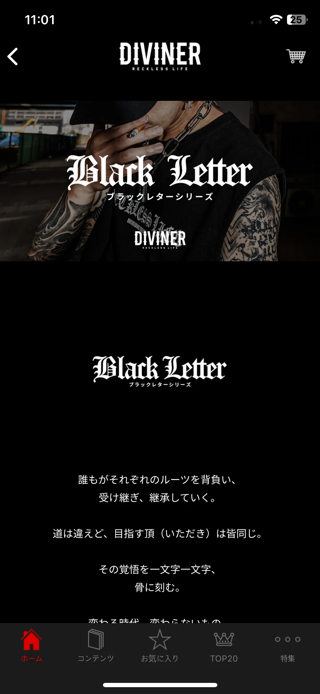 Test Image 12