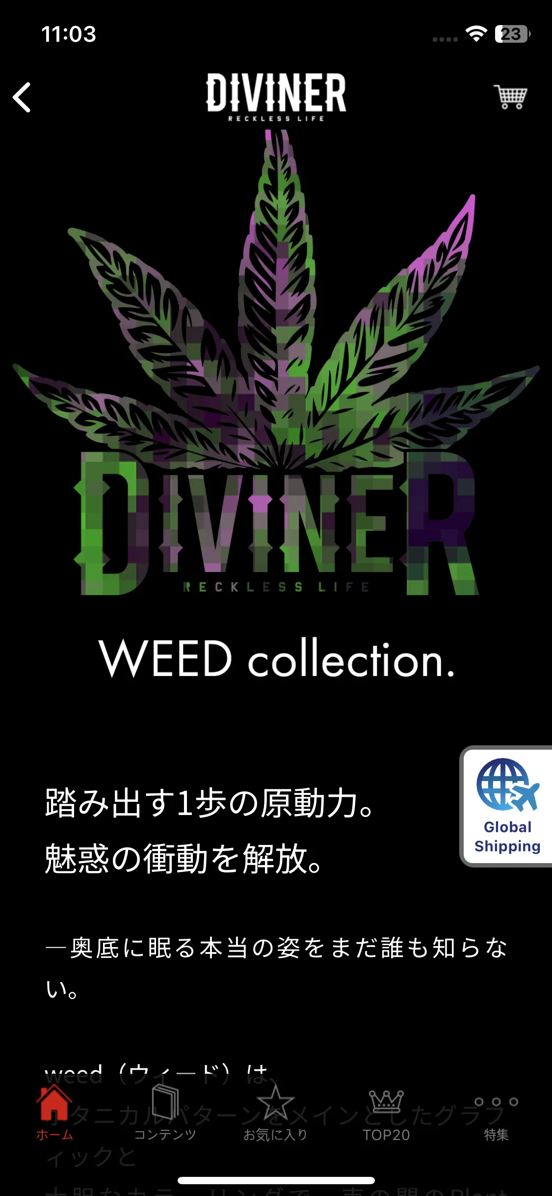 Test Image 13