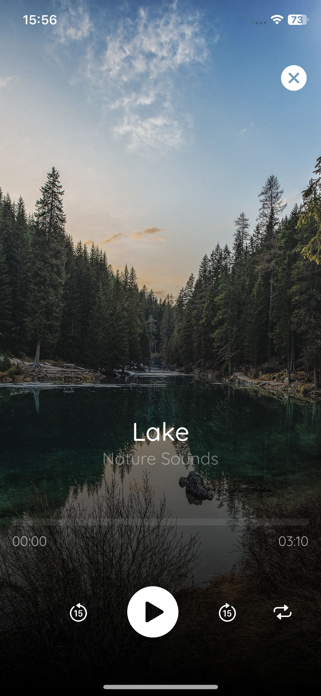 Test Image 8