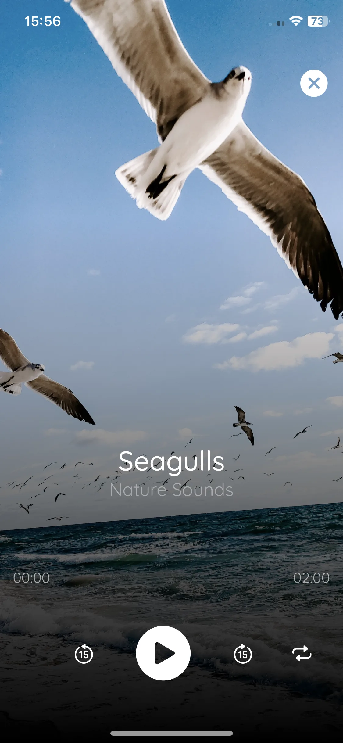 Test Image 10