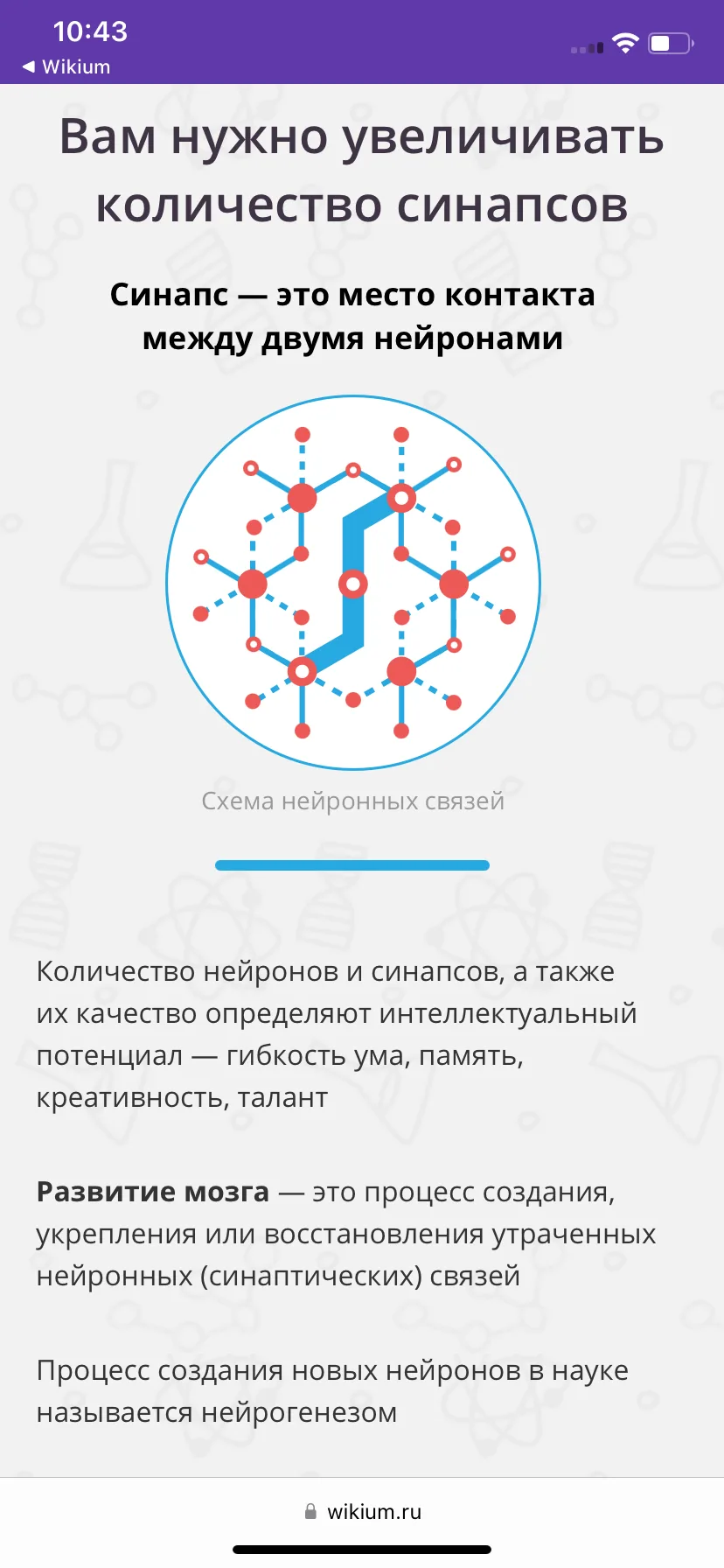Test Image 8