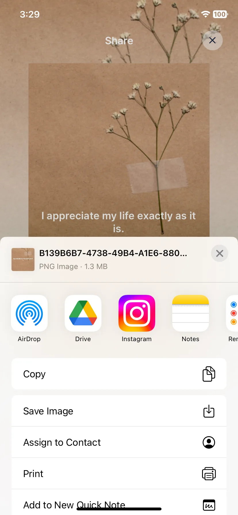 Test Image 27