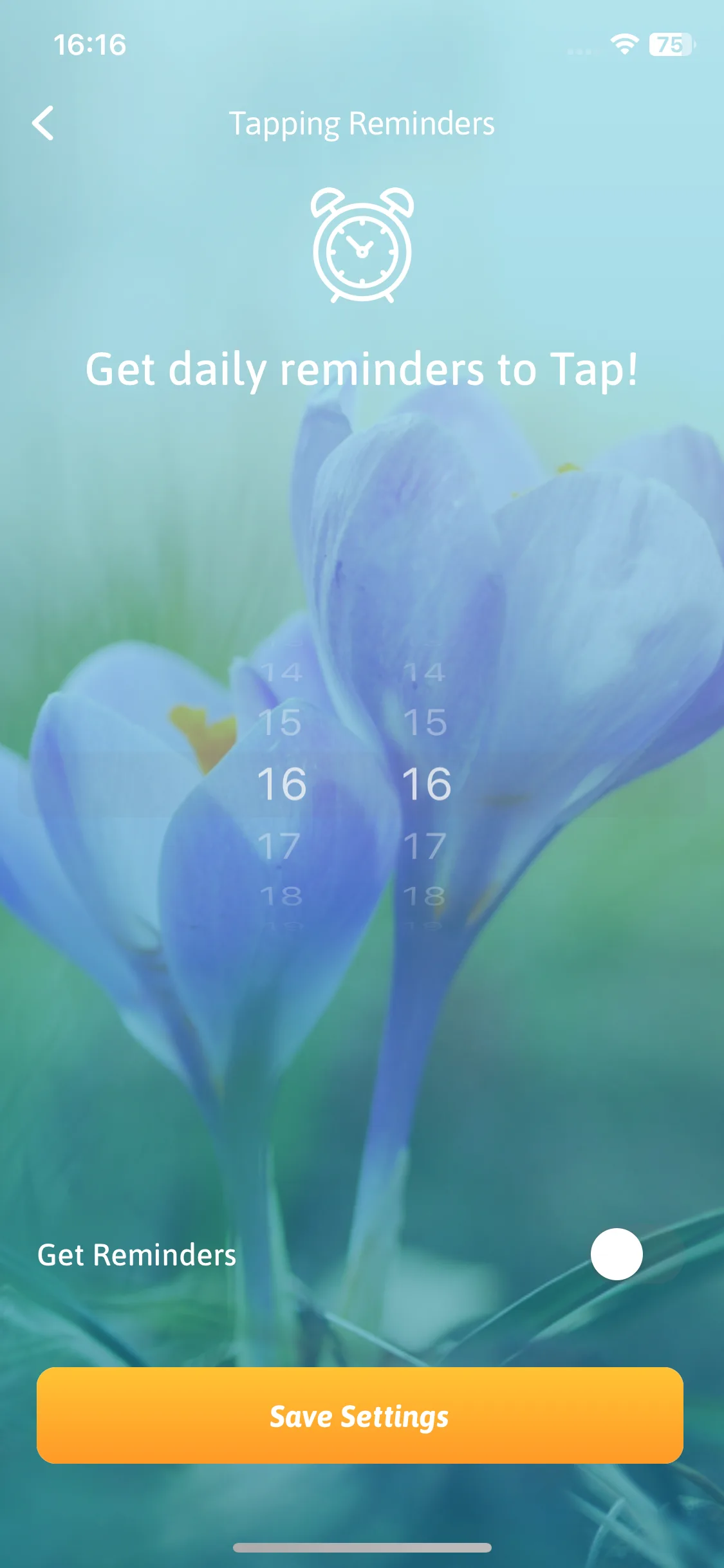 Test Image 5